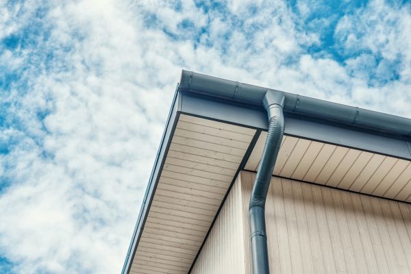 Gutter Fascia Repair in Woodbridge