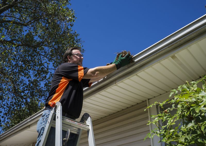 Gutter Inspection and Maintenance