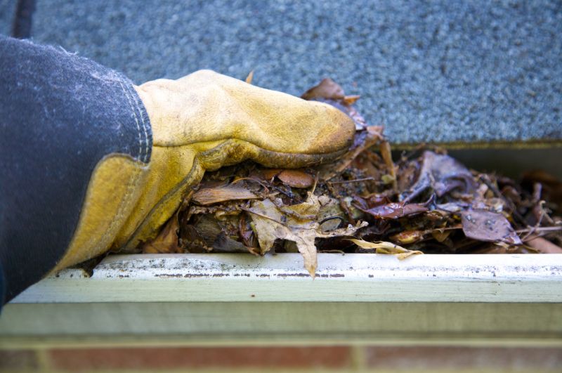 Removing Debris from Residential Gutters