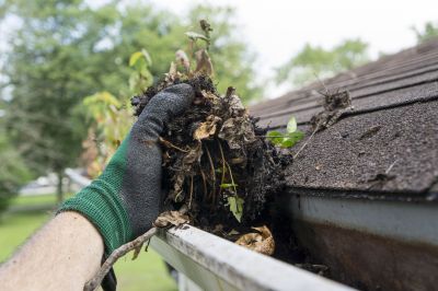 Close-up of Gutter Debris Removal